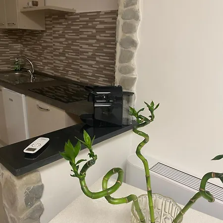 La Panoramica Couette-café Castelmezzano