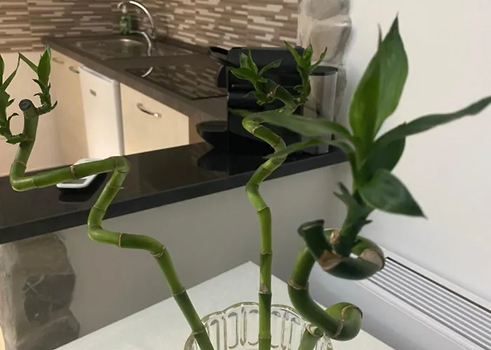 La Panoramica Bed & Breakfast Castelmezzano